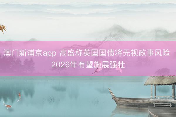 澳门新浦京app 高盛称英国国债将无视政事风险 2026年有望施展强壮