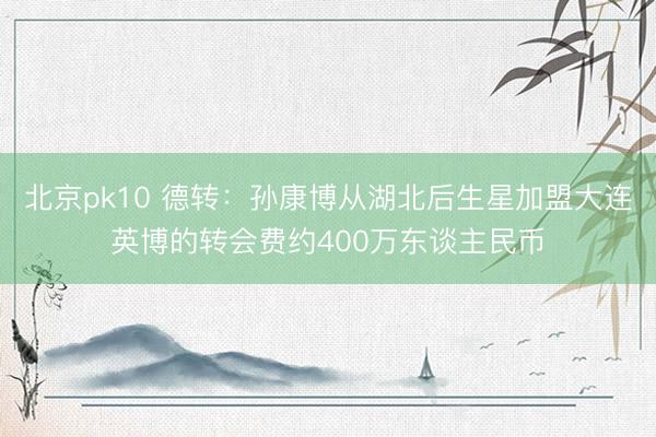 北京pk10 德转：孙康博从湖北后生星加盟大连英博的转会费约400万东谈主民币
