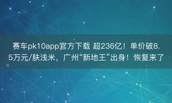 赛车pk10app官方下载 超236亿！单价破8.5万元/肤浅米，广州“新地王”出身！恢复来了