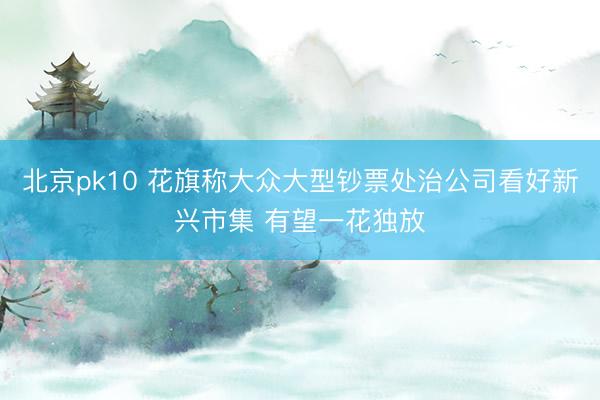 北京pk10 花旗称大众大型钞票处治公司看好新兴市集 有望一花独放